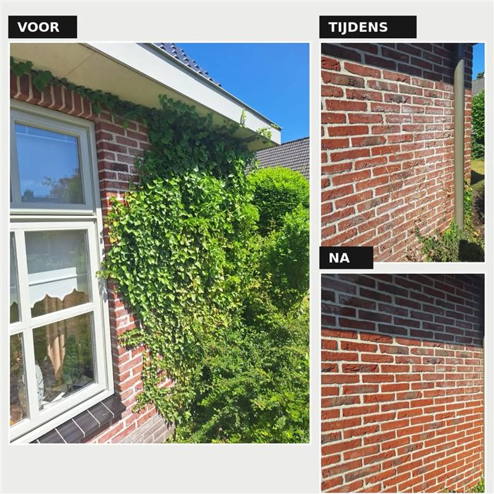 klimop gevel verwijderen