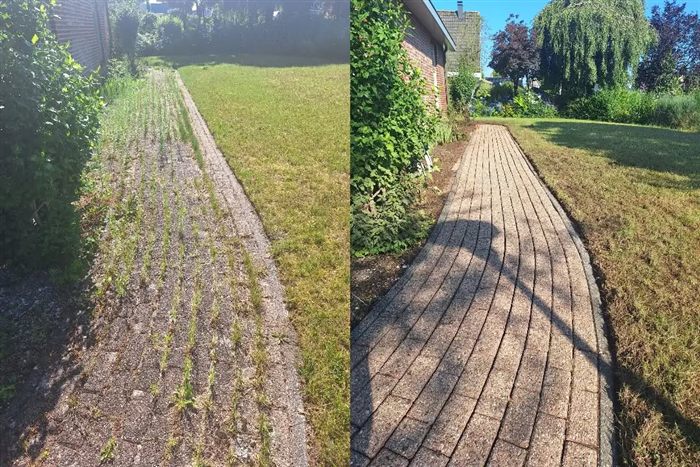 onkruid tuinpad